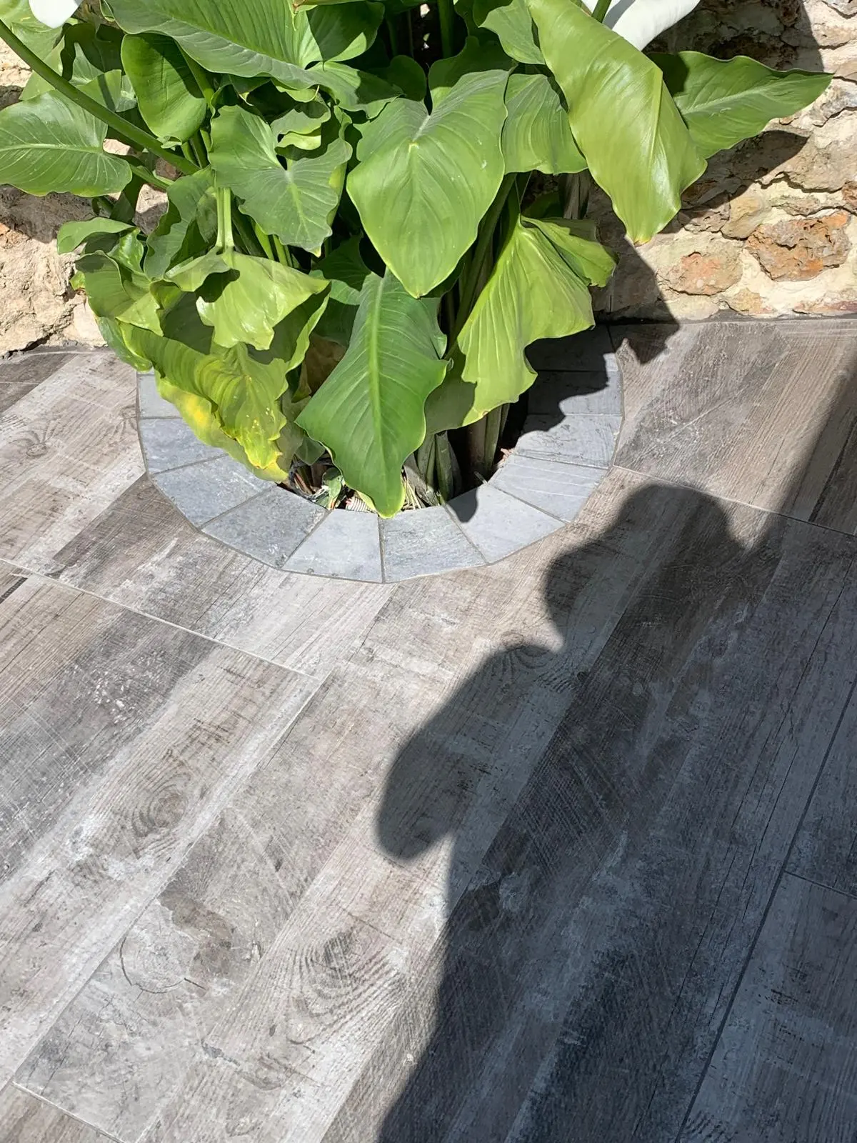 Allée décorative en gravier